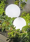 Kugelleuchte Ø 30 cm von Näve für 29,99 € bei Hellweg im Angebot Kugelleuchte Ø 30 cm von Näve im aktuellen Hellweg Prospekt