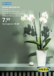 Aktueller IKEA Prospekt mit Schiebetür, "IKEA Family PHALAENOPSIS", Seite 1