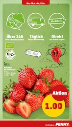 Erdbeeren Angebot im aktuellen Penny Prospekt auf Seite 9
