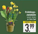 Frühlingszwiebeln von  im aktuellen EDEKA Prospekt für 3,99 €