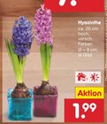 Netto Marken-Discount Groß Twülpstedt Prospekt mit  im Angebot für 1,99 €