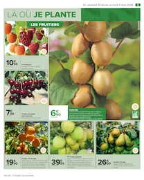 Prix et réduction Framboisier dans le prospectus Carrefour en cours Offre Framboisier dans le catalogue Carrefour du moment à la page 11