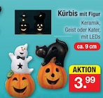 Aktuelles Kürbis mit Figur Angebot bei Zimmermann in Bremen ab 3,99 €