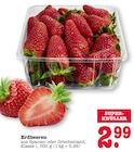 Aktuelles Erdbeeren Angebot bei E center in Ludwigshafen (Rhein) ab 2,99 €