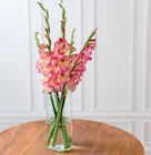 Bouquet de 5 glaïeuls - Super U à Gap Bouquet de 5 glaïeuls en promo chez Super U Gap à 4,99 €