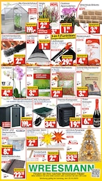 Wreesmann Orchidee im Prospekt Wreesmann Orchidee im Prospekt