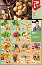 Ähnliche Stiefmütterchen Angebote im Prospekt "Dein Markt" von REWE in Herne Ähnliche Angebote wie Stiefmütterchen im Prospekt "Dein Markt" auf Seite 7 von REWE in Herne