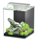 Aquarium Kubus Curve Essential 20L - Aquatlantis - Animalis Aquarium Kubus Curve Essential 20L - Aquatlantis à 69,99 € dans le catalogue Animalis