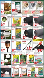 Aktueller Wreesmann Prospekt mit Gartendeko, "DEIN SAISON- & SONDERPOSTENMARKT!", Seite 4