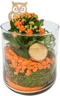 Aktuelle Blumentopf Angebote bei Kaufland in Jena Aktuelles Bepflanzter Glaszylinder Angebot bei Kaufland in Jena ab 8,88 €