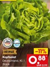 Kopfsalat im Netto Marken-Discount Prospekt Kopfsalat im aktuellen Netto Marken-Discount Prospekt für 0,88 €