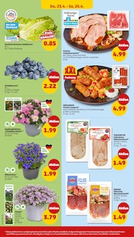 Schweinefleisch im Penny Prospekt "Wer günstig will, muss Penny." mit 38 Seiten (Remscheid)