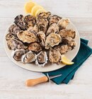 Huîtres fines de Bretagne - U en promo chez Super U Nantes à 10,36 €