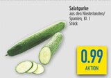 Salatgurke von  im aktuellen diska Prospekt für 0,99 €