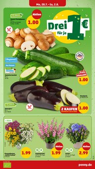 Champignons im Penny Prospekt "Wer günstig will, muss Penny." mit 34 Seiten (Frankfurt (Main))