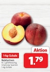 nah&frisch Voltlage - Nektarinen Angebot im Prospekt Nektarinen bei nah&frisch im Voltlage Prospekt für 1,79 €