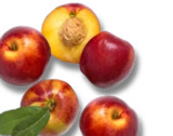 Nektarinen bei Kaufland im Prospekt "" für 1,69 €