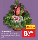Grabschale im Angebot bei Netto Marken-Discount in Osnabrück Grabschale Angebote bei Netto Marken-Discount Osnabrück für 8,99 €