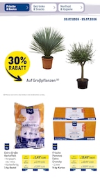 Coupons Angebot & Preis im aktuellen METRO Prospekt Coupons Angebot im aktuellen METRO Prospekt auf Seite 12
