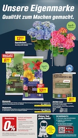 Blumenerde im toom Baumarkt Prospekt in Dessau-Roßlau Aktueller toom Baumarkt Prospekt mit Blumenerde, "Respekt, wer's selber macht.", Seite 6
