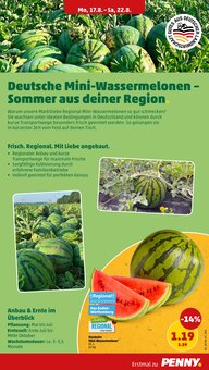 Obst im aktuellen Penny Prospekt (Mannheim) Obst im Penny Prospekt "Wer günstig will, muss Penny." mit 46 Seiten (Mannheim)