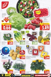 Blumen Angebot & Preis im aktuellen E center Prospekt Blumen Angebot im aktuellen E center Prospekt auf Seite 2