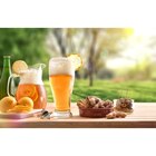 Bière aromatisée - ESTRIBOS en promo chez Carrefour Charenton-le-Pont à 1,39 €
