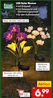 LED Solar Blumen Rose im Angebot bei Netto Marken-Discount in Lutherstadt Wittenberg LED Solar Blumen Rose Angebote von Living & Garden bei Netto Marken-Discount Lutherstadt Wittenberg für 6,99 €