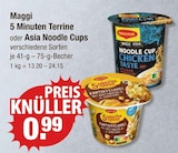 5 Minuten Terrine von Maggi im aktuellen V-Markt Prospekt für 0,99 €