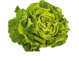 Kopfsalat von HEIMAT im aktuellen Netto Marken-Discount Prospekt für 1,29 €
