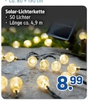 Solar-Lichterkette im Rossmann Prospekt Solar-Lichterkette von Ideenwelt im aktuellen Rossmann Prospekt für 8,99 €