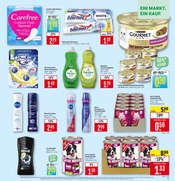 Aktueller Marktkauf Prospekt mit Unterwäsche, "Aktuelle Angebote", Seite 23