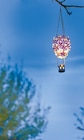 Solar-Hortensienballon von GARDEN DREAM für 11,99 € bei Netto mit dem Scottie im Angebot Solar-Hortensienballon von GARDEN DREAM im aktuellen Netto mit dem Scottie Prospekt