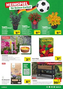 Blumenerde im aktuellen Hagebaumarkt Prospekt (Stuttgart) Blumenerde im Hagebaumarkt Prospekt "HIER GRILLT DEIN BESTPREIS" mit 18 Seiten (Stuttgart)