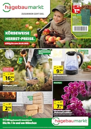 Hagebaumarkt Prospekt für Fraunberg mit 8 Seiten Hagebaumarkt Prospekt für Fraunberg: "KÖRBEWEISE HERBST-PREISE.", 8 Seiten, 13.09.2025 - 20.09.2025