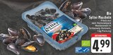 Bio Sylter Muscheln Angebote von Original Sylt bei EDEKA Münster für 4,99 €