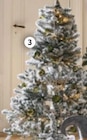 Weihnachtsbaum Monarch ca. 96 cm Ø im Angebot bei XXXLutz in Ansbach Weihnachtsbaum Monarch ca. 96 cm Ø Angebote bei XXXLutz Ansbach für 79,99 €