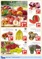 Aktueller E center Prospekt mit Bananen, "Top Angebote", Seite 6