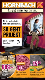 Blumen im Hornbach Prospekt in Schwerte Aktueller Hornbach Prospekt mit Blumen, "Dir ist vieles Latte. Nur nicht Dein Garten.", Seite 1