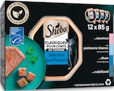 Promo -30% remise immédiate sur tout Sheba à  dans le catalogue Intermarché Super à Mons-en-Barœul