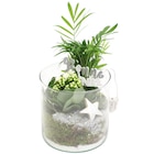 Composition festive de plantes en promo chez Carrefour Avignon à 10,99 €