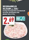 Riesengarnelen Dillrahm Angebote bei Marktkauf Kerpen für 2,69 €