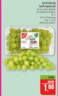 Aktuelles Tafeltrauben hell kernlos Angebot bei Marktkauf in Leipzig ab 1,00 €