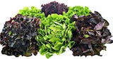 GLOBUS Saarlouis Prospekt mit  im Angebot für 0,79 €