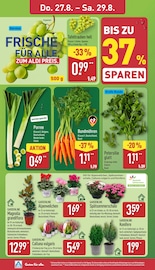 Garden Feelings Angebote im Prospekt "Aktuelle Angebote" von ALDI Nord Garden Feelings Angebote im Prospekt "Aktuelle Angebote" von ALDI Nord auf Seite 26