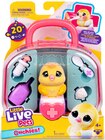 Ouchies Chirpy  im aktuellen Rossmann Prospekt für 15,99 €