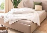 Ganzjahresbett von Collection Noblesse im aktuellen Segmüller Prospekt für 19,99 €