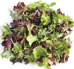EDEKA Versmold - Baby Salatmix Angebot im Prospekt Baby Salatmix bei EDEKA im Versmold Prospekt für 1,49 €