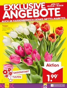 Tulpen im aktuellen Netto Marken-Discount Prospekt (Rostock) Tulpen im Netto Marken-Discount Prospekt "Aktuelle Angebote" mit 59 Seiten (Rostock)
