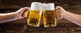 Pilsener Steinie im Angebot bei Trinkgut in Oberursel Pilsener Steinie Angebote von Traugott Simon bei Trinkgut Oberursel für 8,99 €